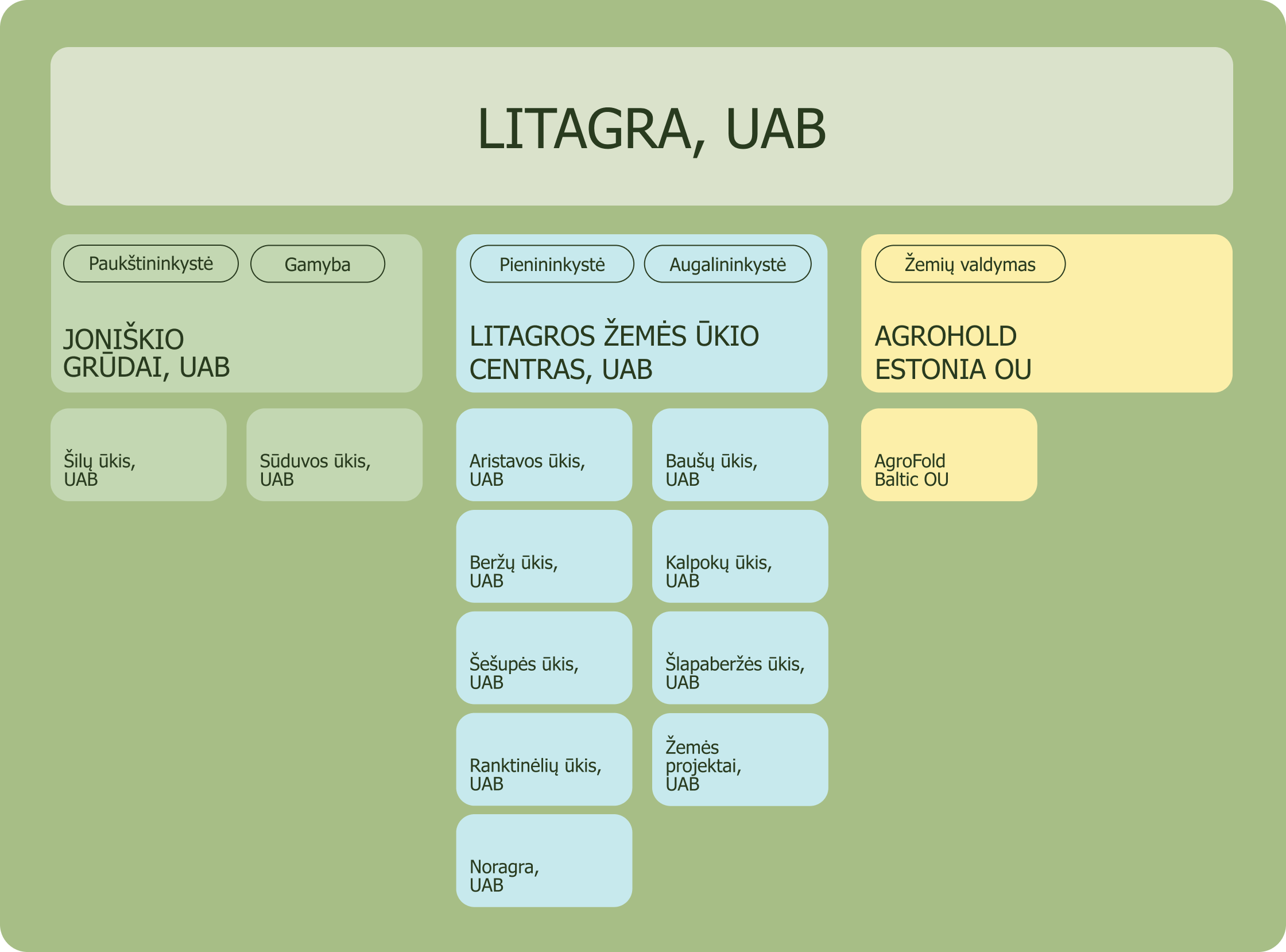 Litagra_Grupes_struktura